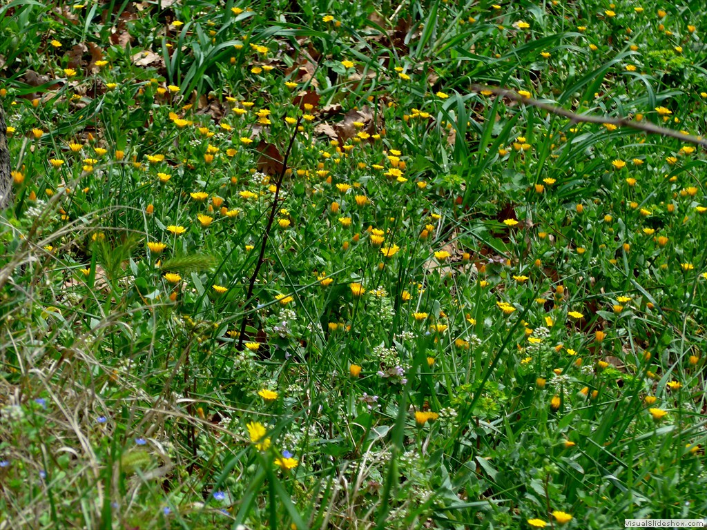 P1110473