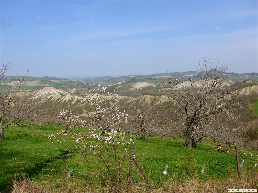 P1110502