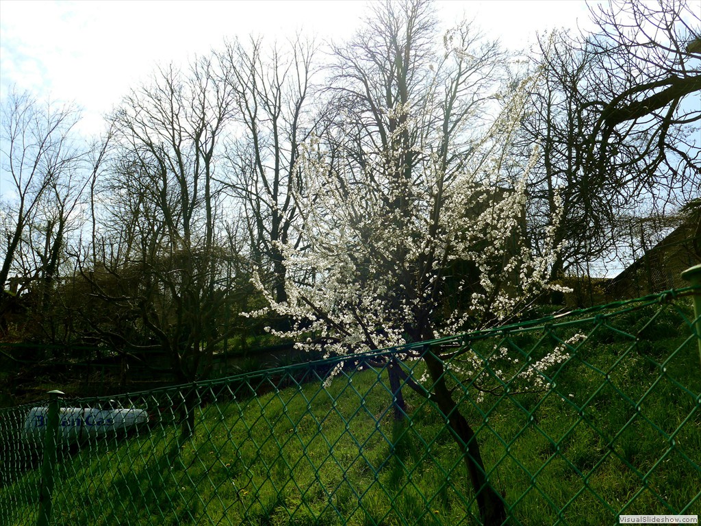 P1110504
