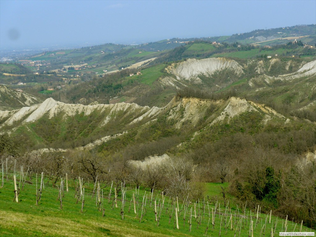 P1110506