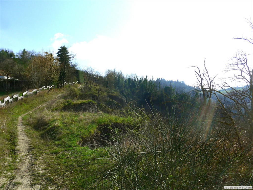 P1110534
