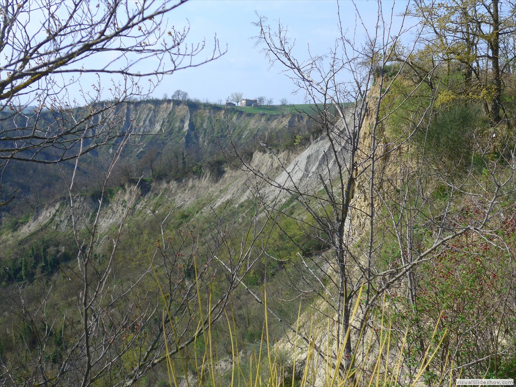 P1110540