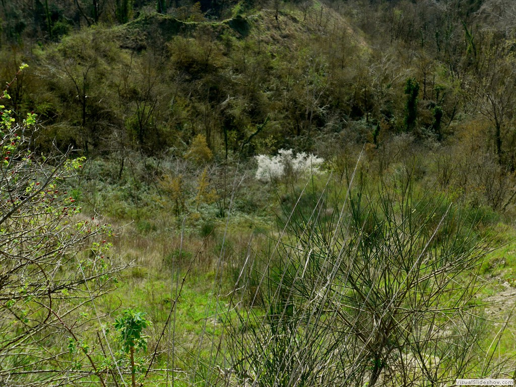 P1110541