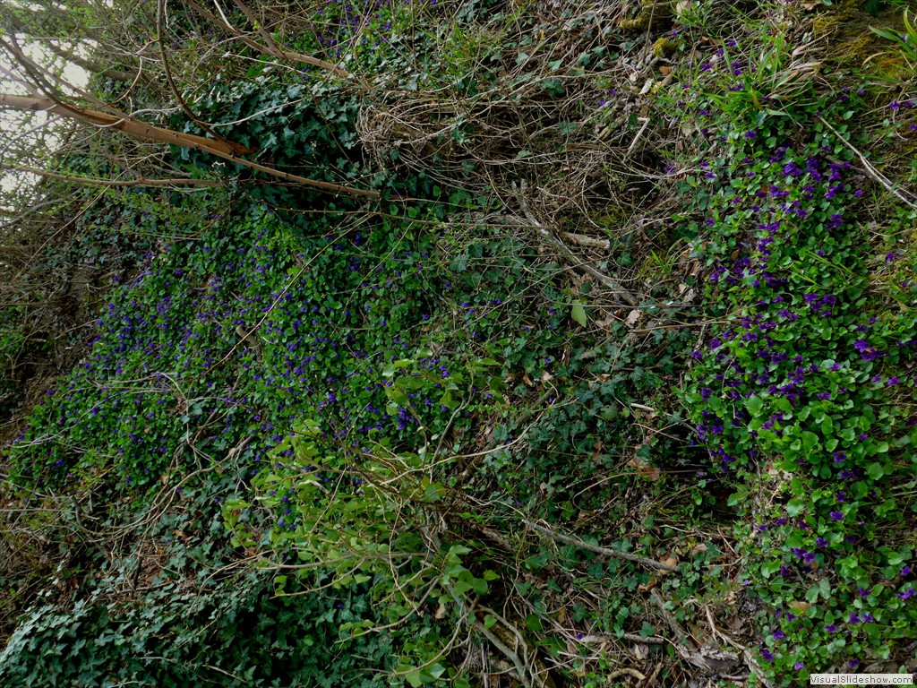 P1110542