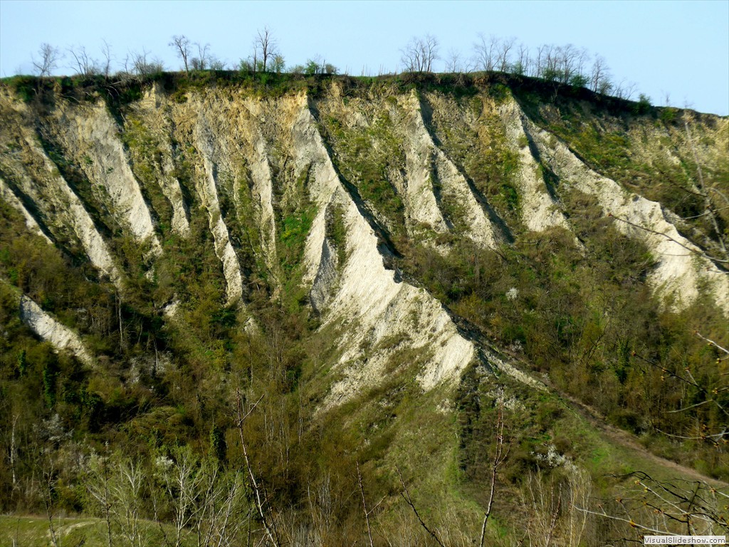 P1110544