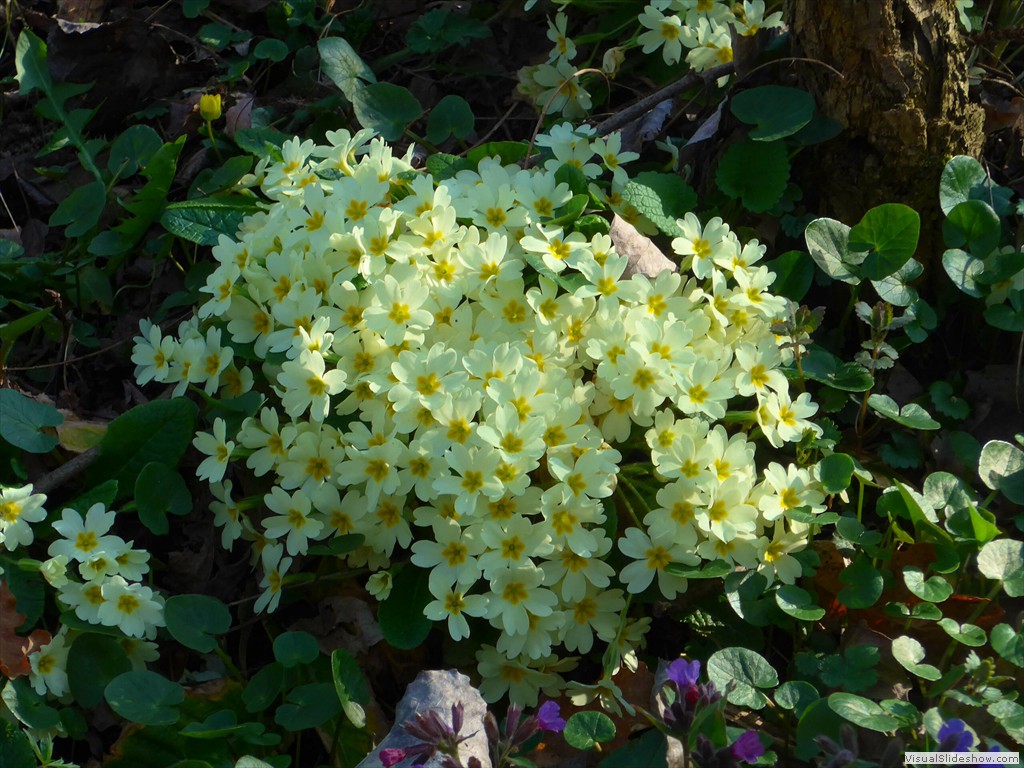 P1110549
