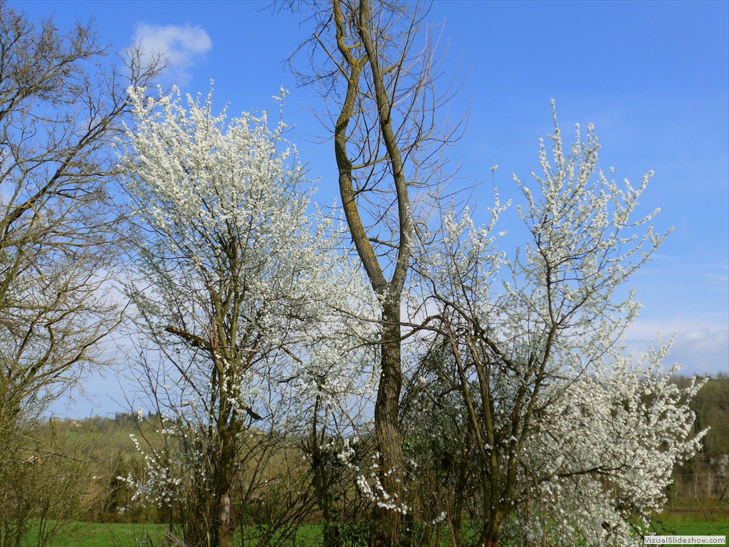 P1110562