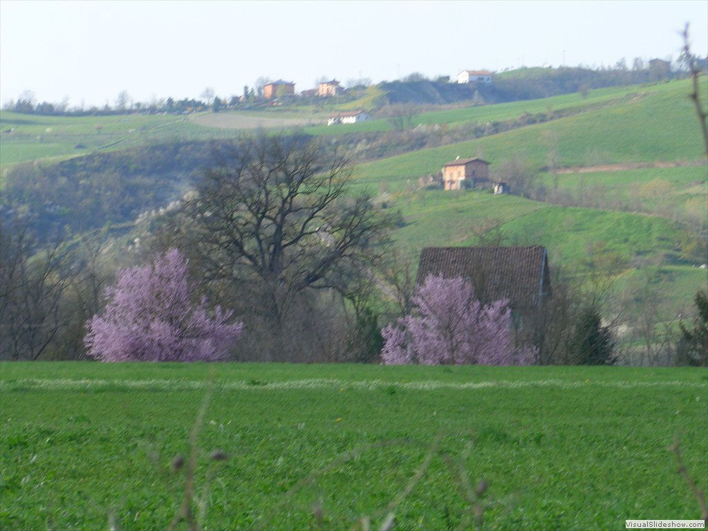 P1110564