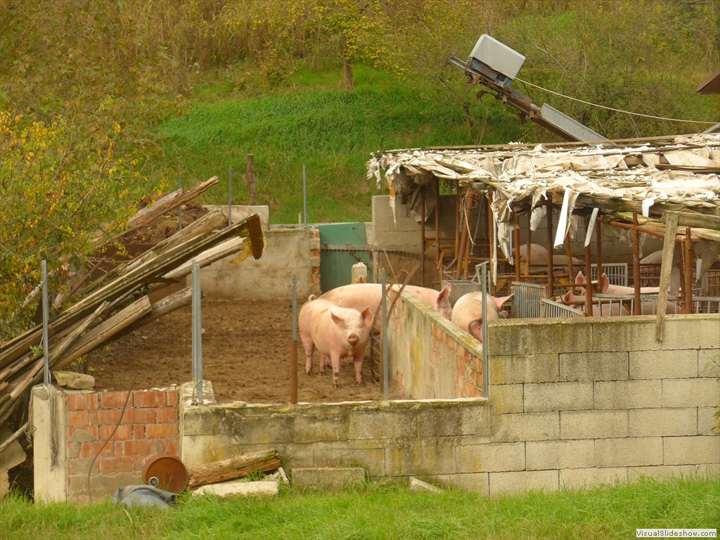 P1080816