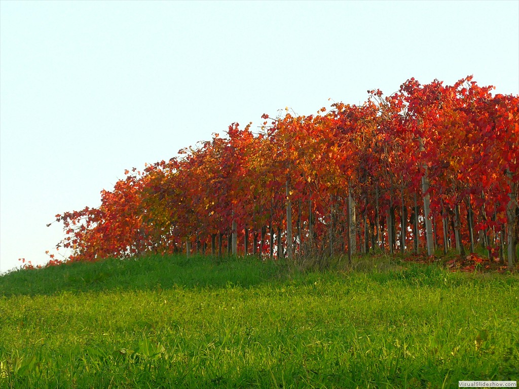 P1080869