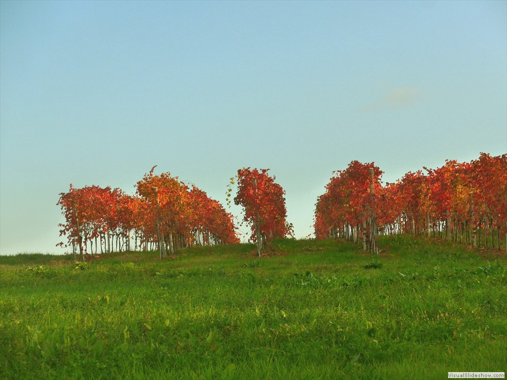 P1080870