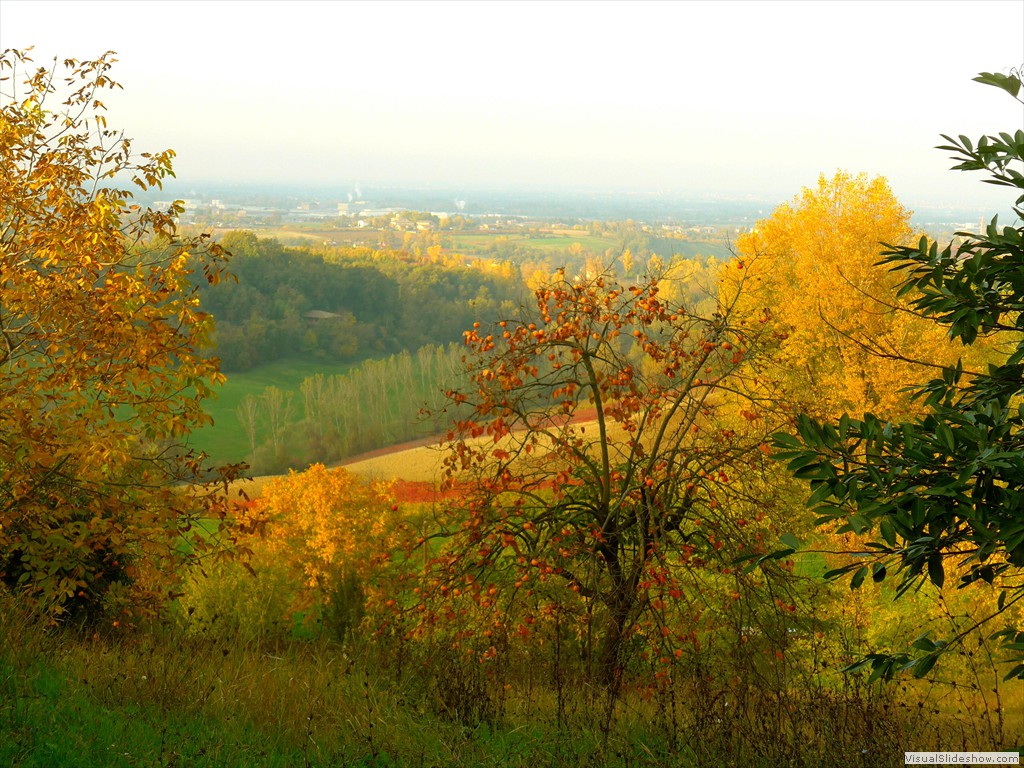 P1080871