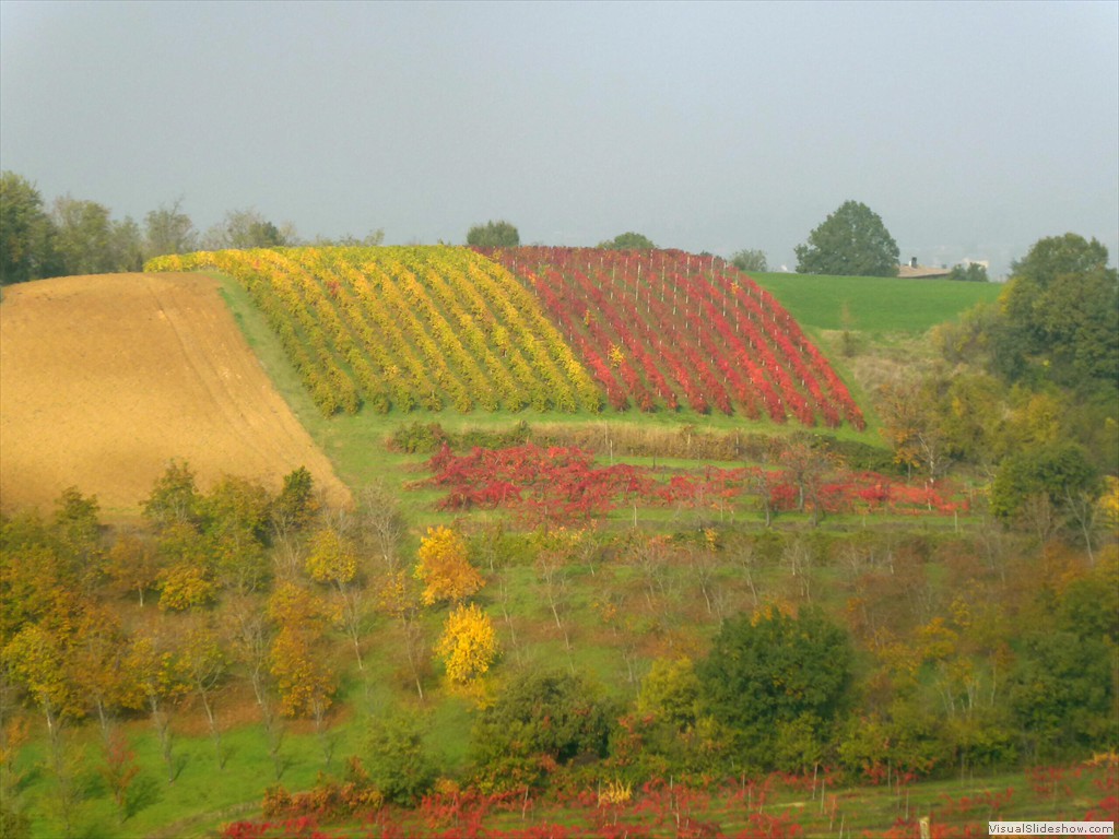 P1010682