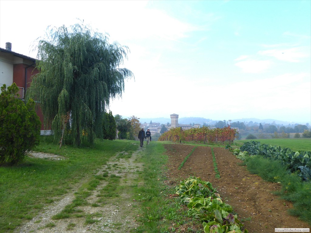 P1010712