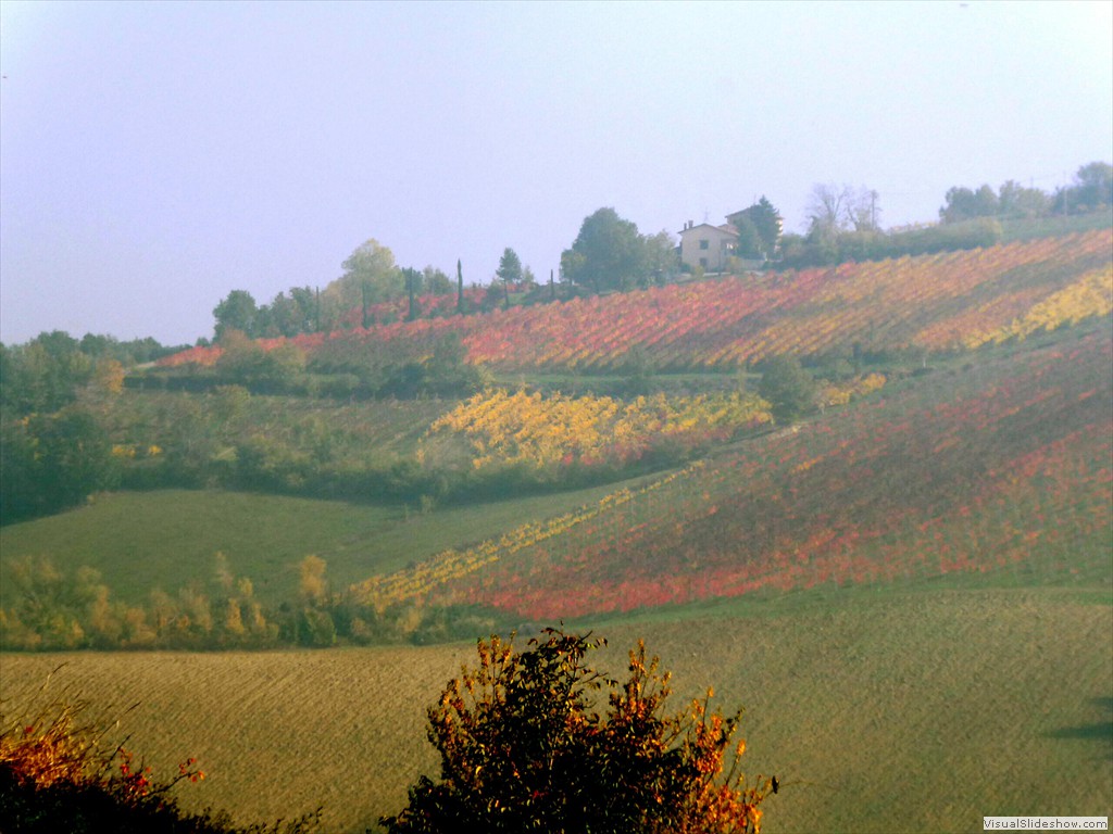 P1010732