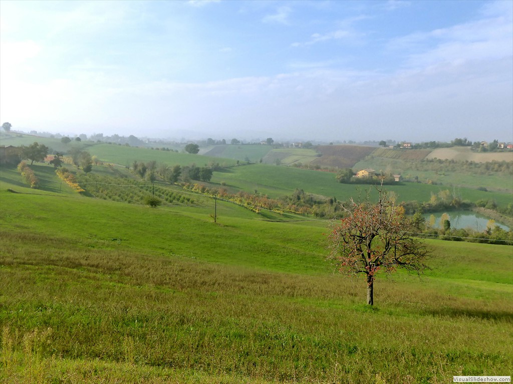 P1010734