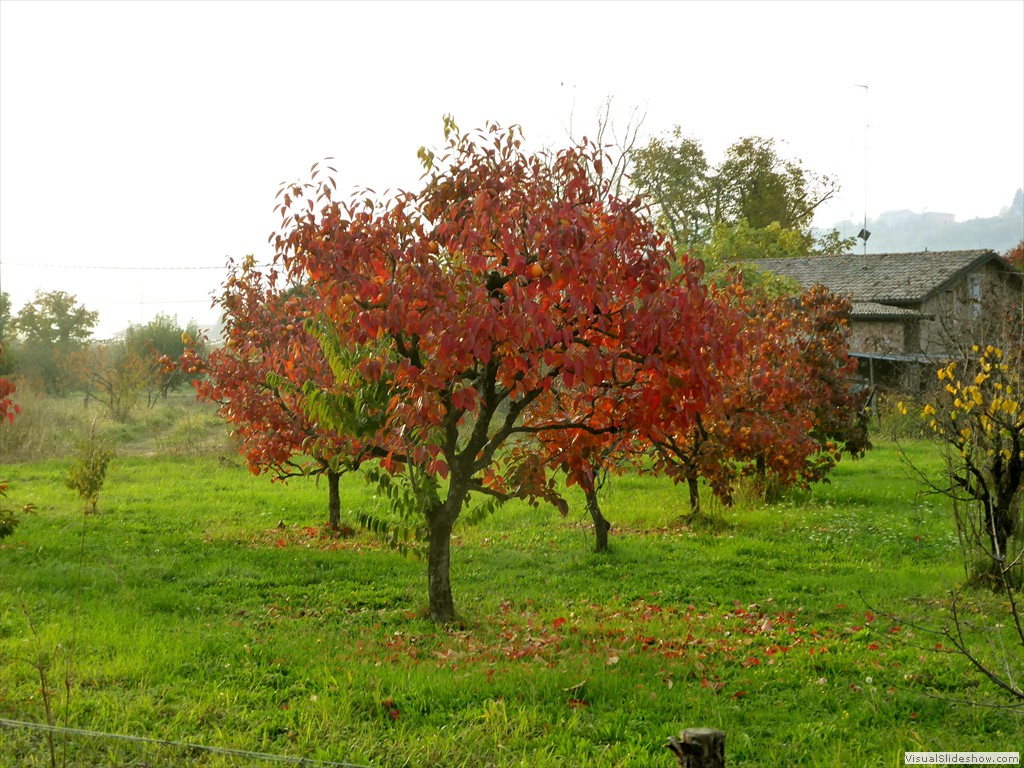 P1010759