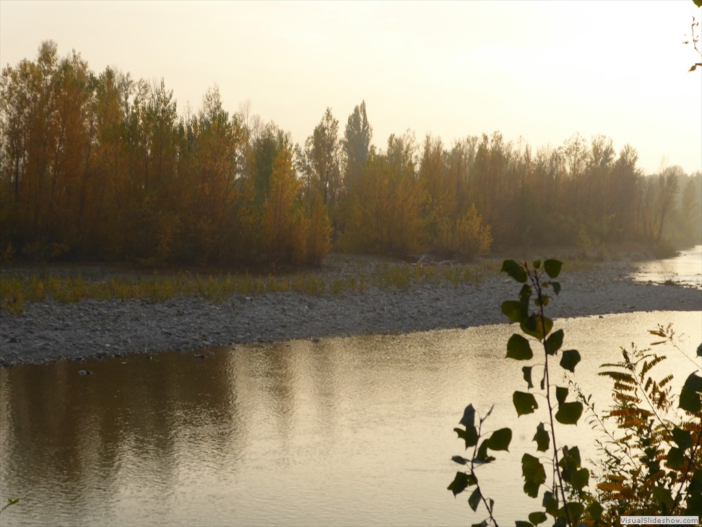 P1010767