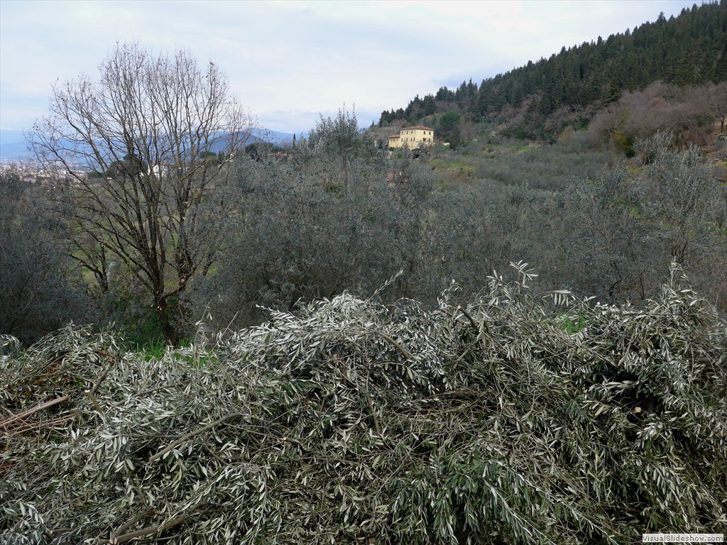 P1110351