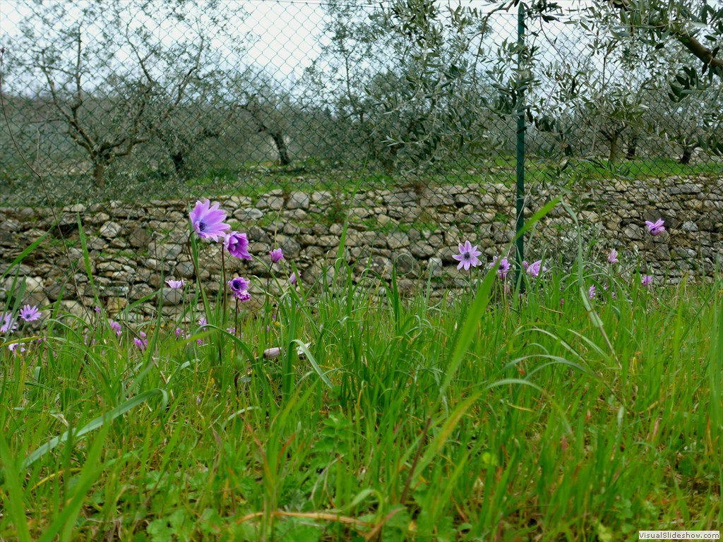 P1110358