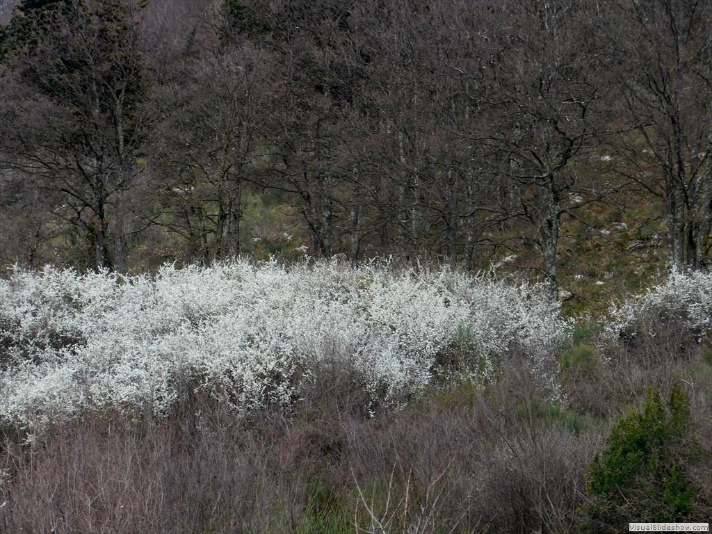 P1110365