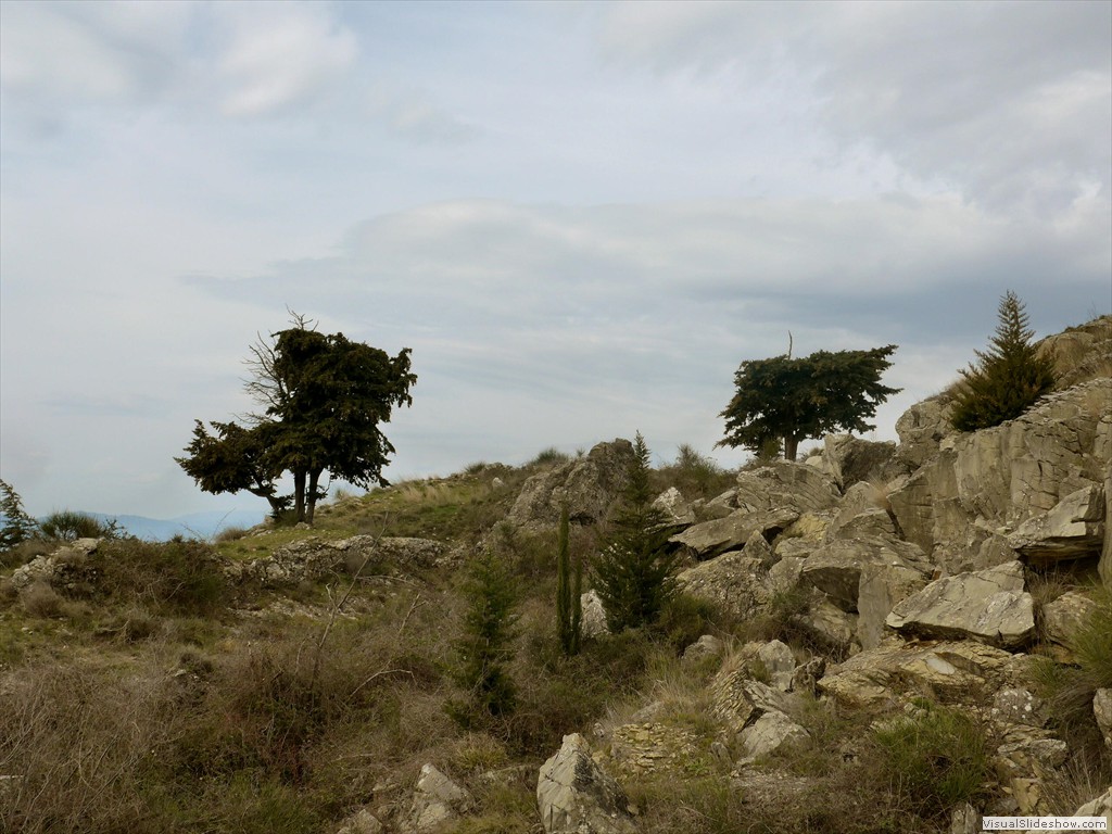 P1110374