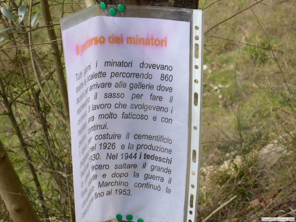 P1110389