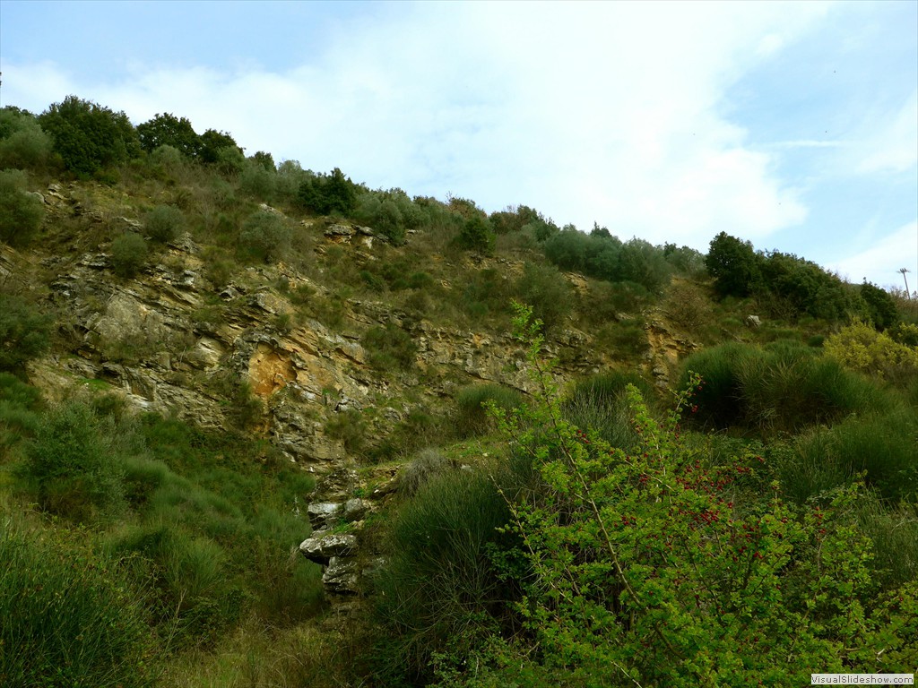 P1110390
