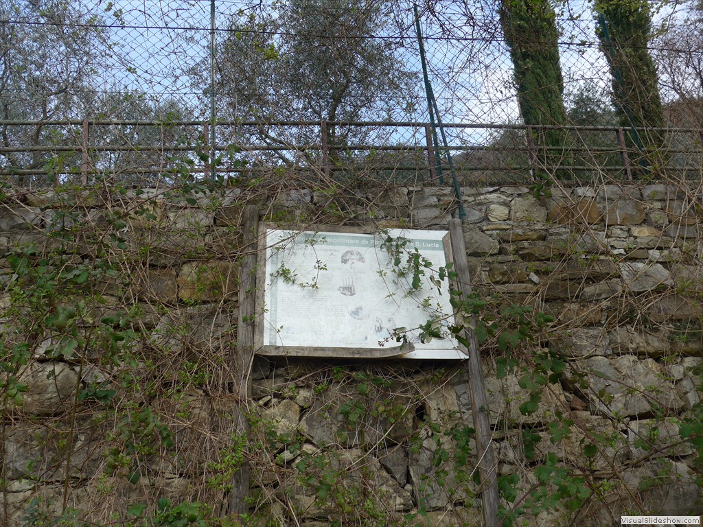 P1110397