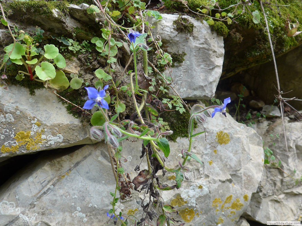 P1110398