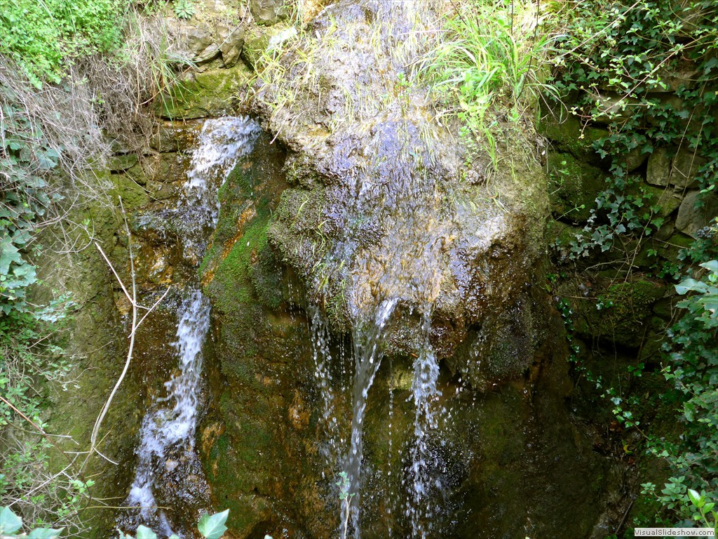 P1110406