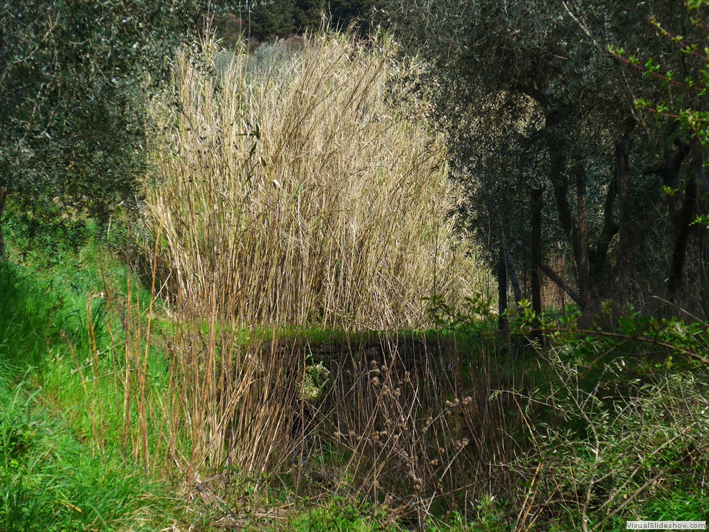 P1110407