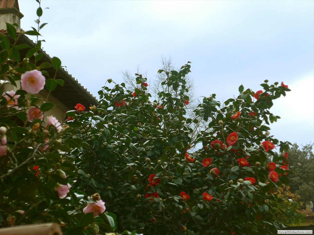 P1110425