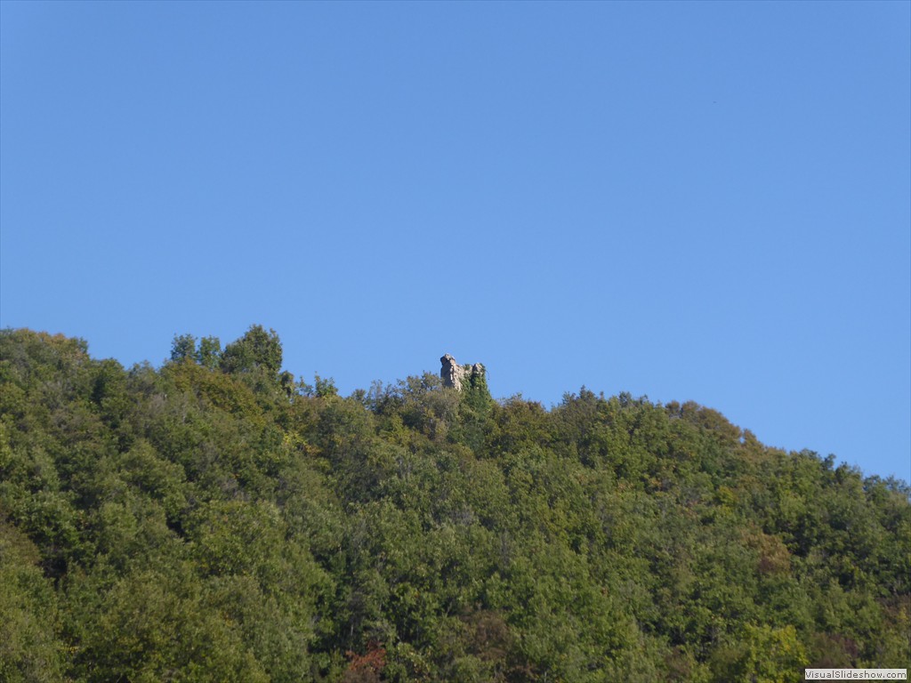 P1010017