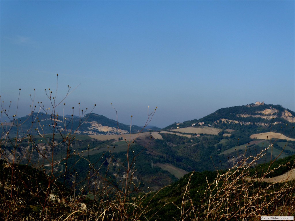 P1010031