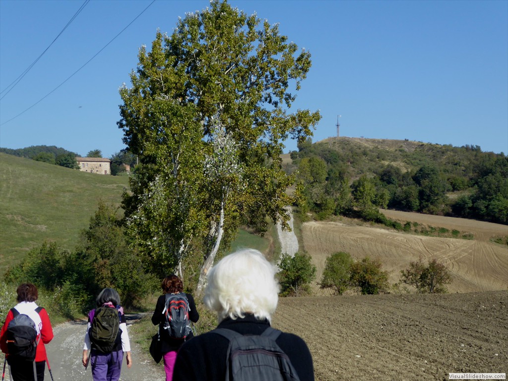 P1010036