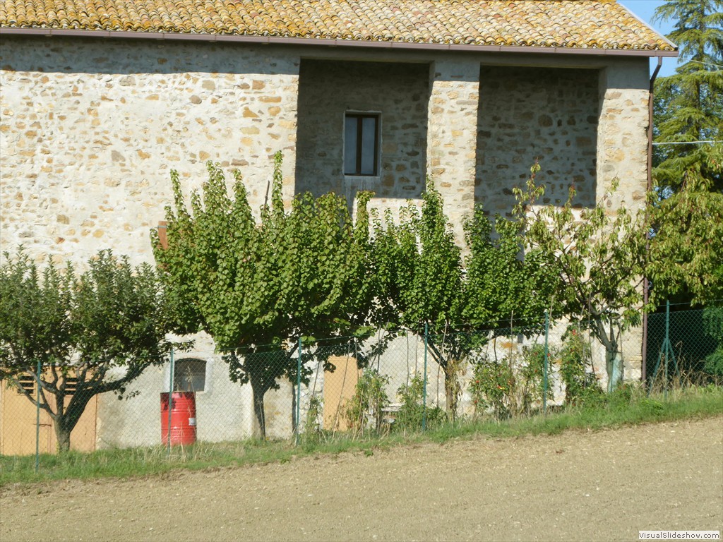 P1010041