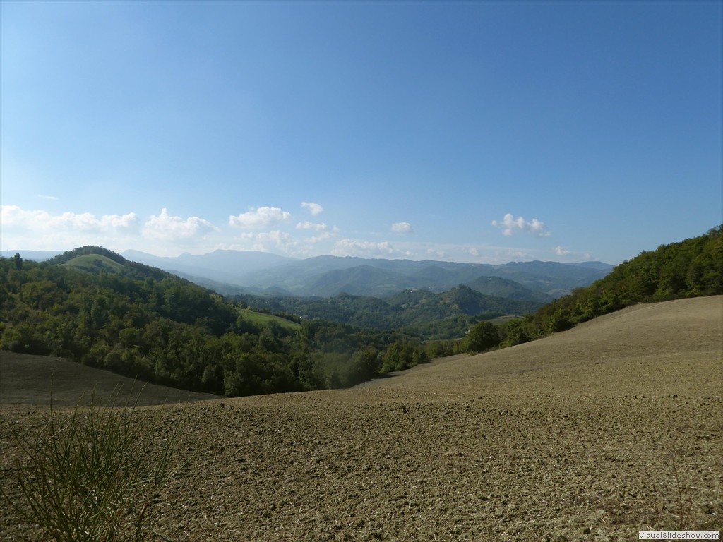 P1010042