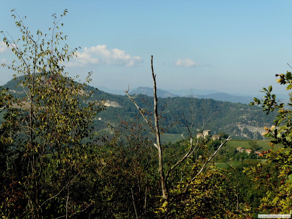 P1010047