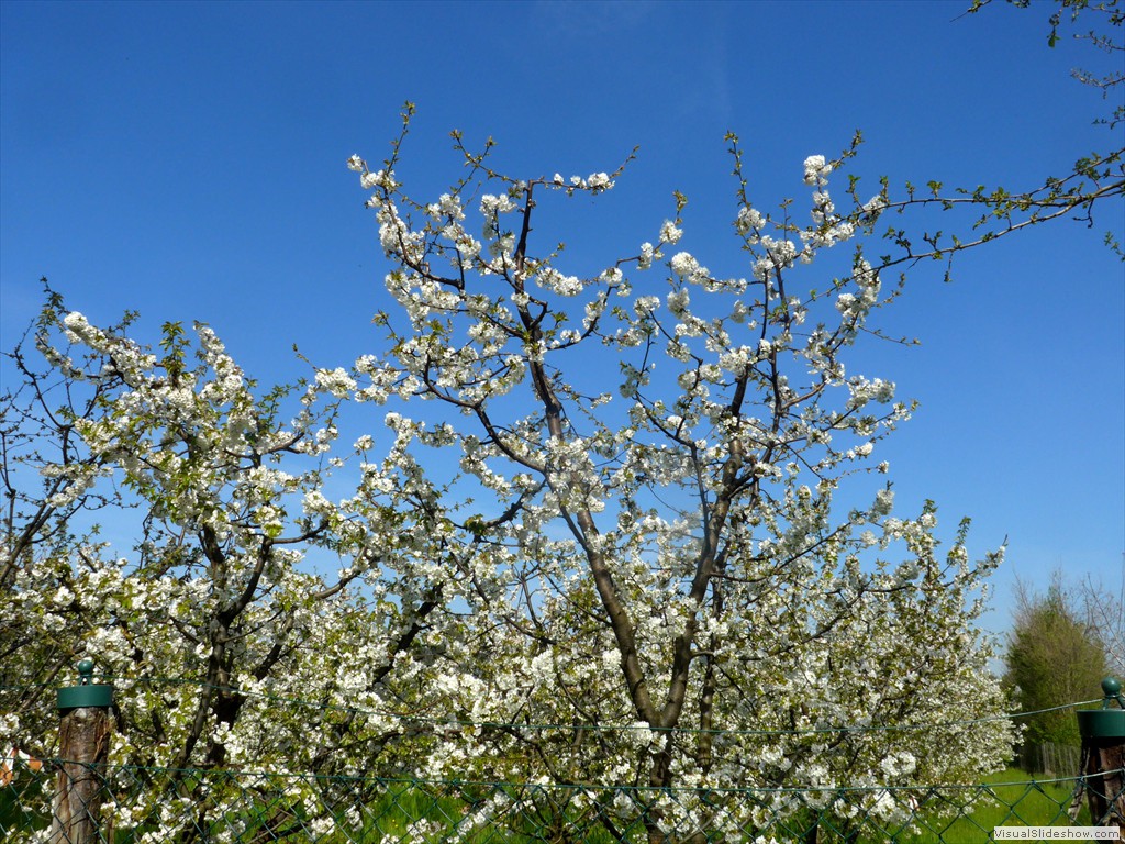 P1040307