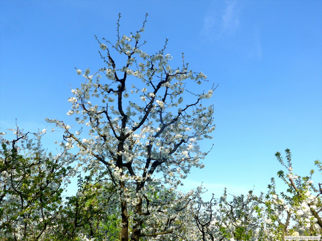 P1040310