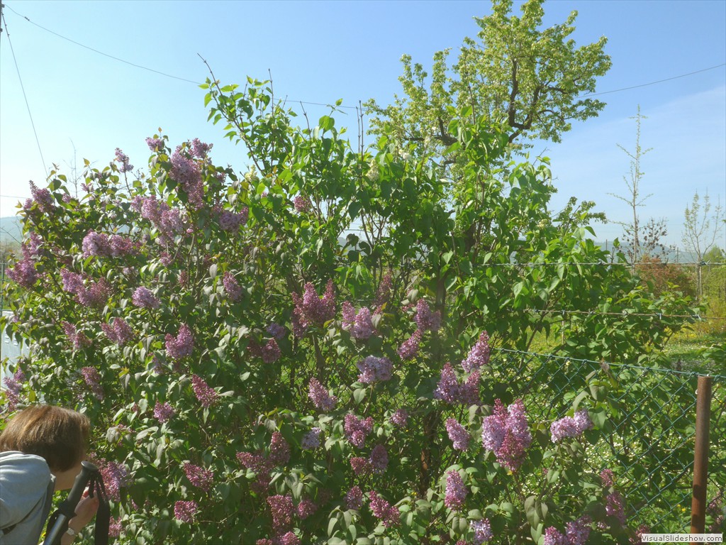 P1040328