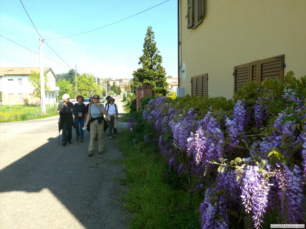 P1040332