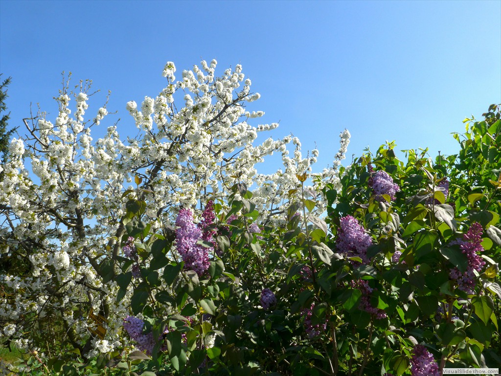P1040336