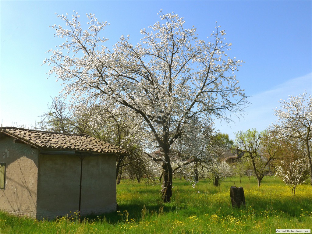 P1040338