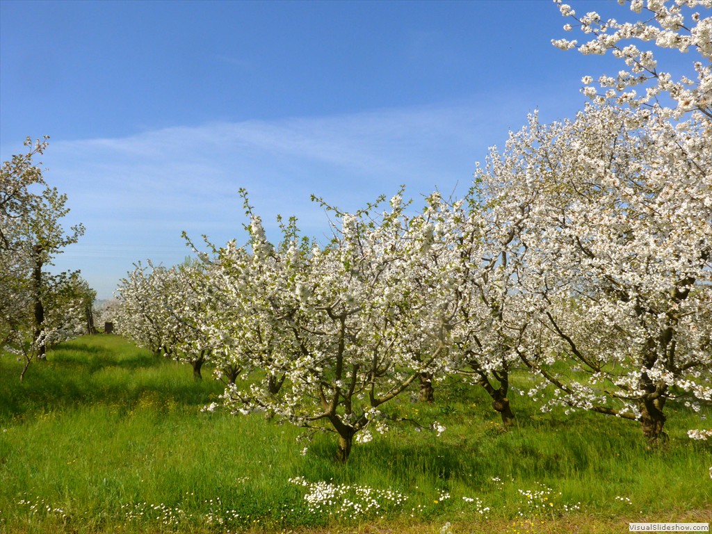 P1040344