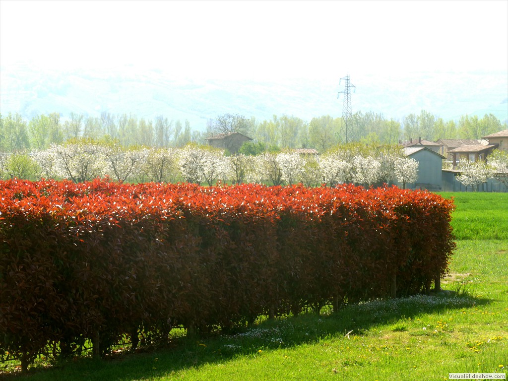 P1040349
