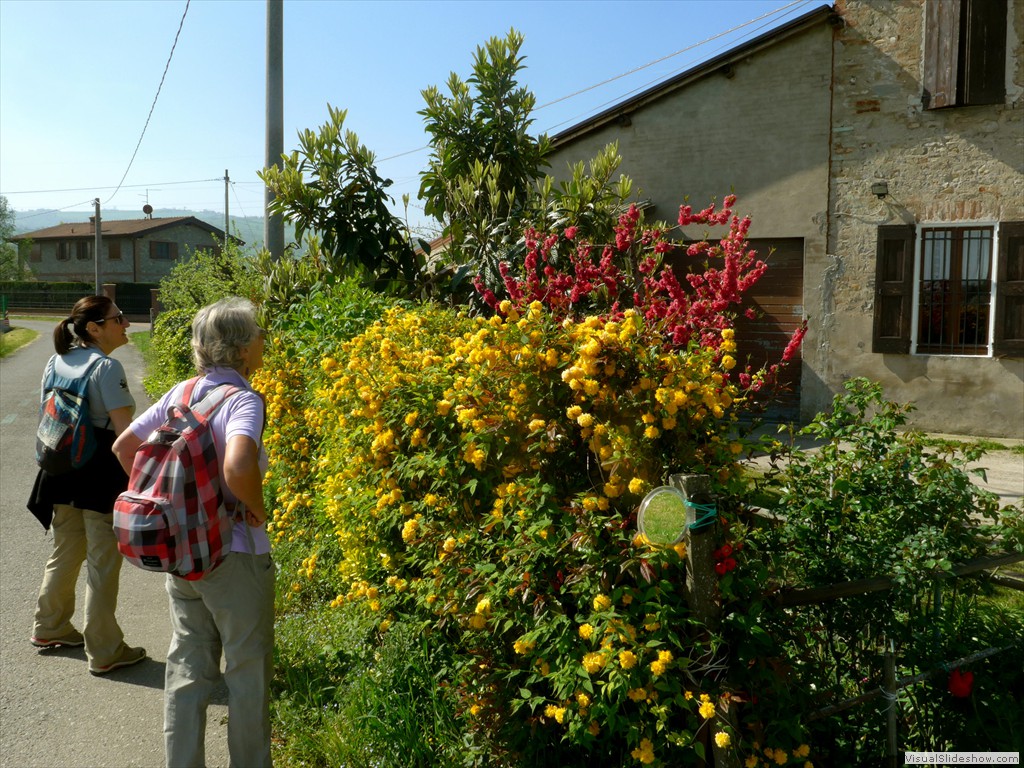 P1040353