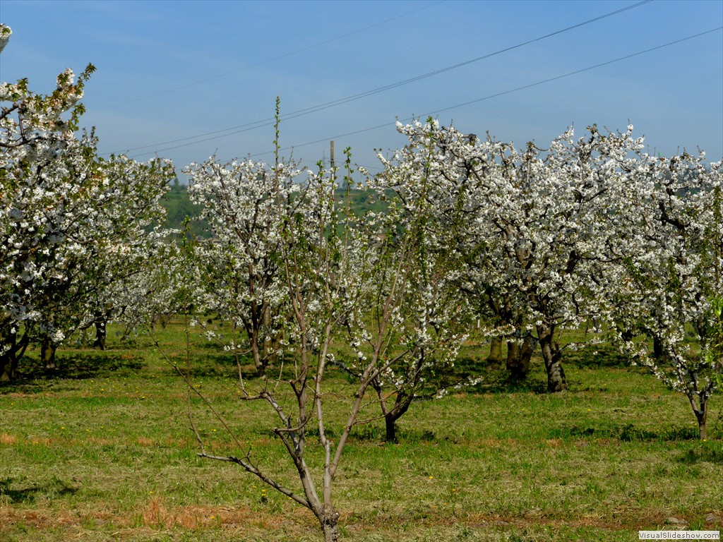 P1040360