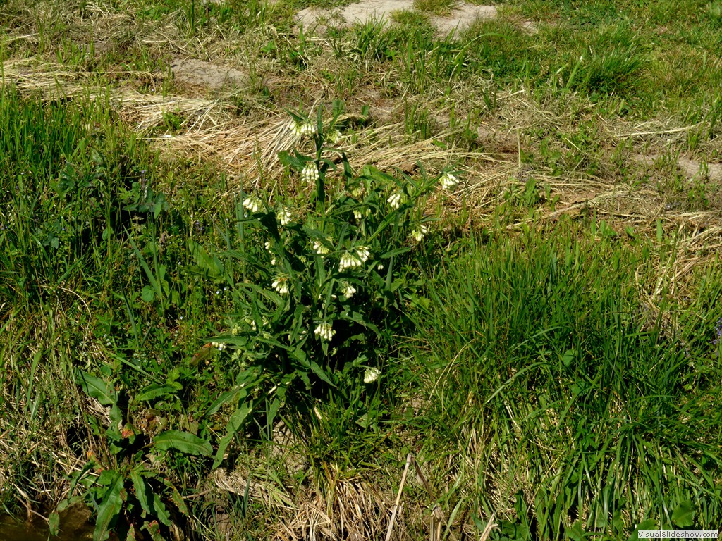 P1040361